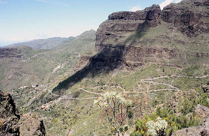 Teneriffa-Teno