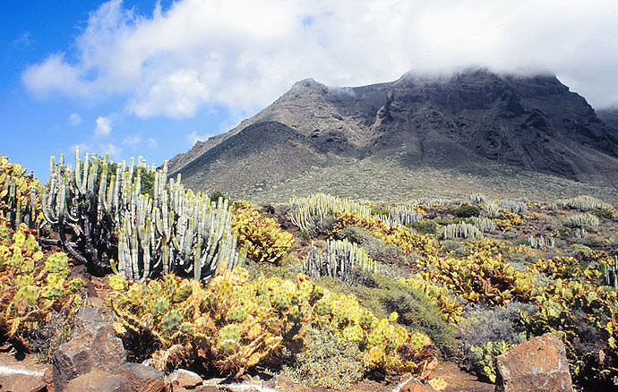 Teneriffa-am-Punta-del-Teno