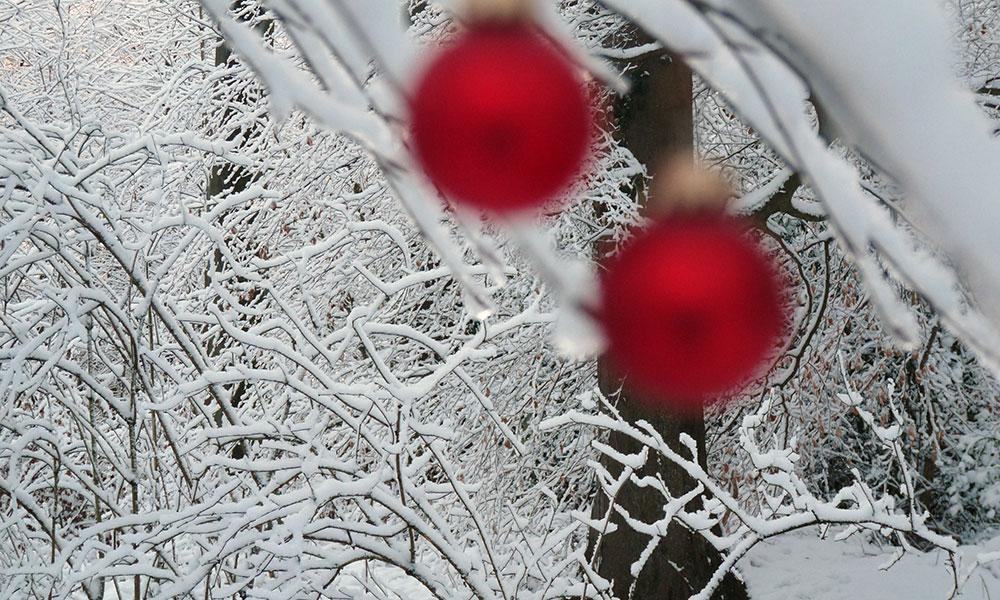 Unscharfe Christbaumkugeln mit scharfem Baum im Hintergrund