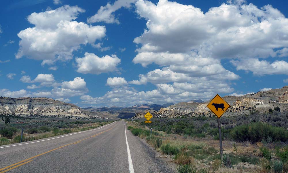 Straße durch die Berge, USA