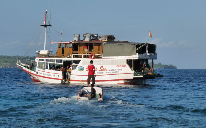 Komodo Warane