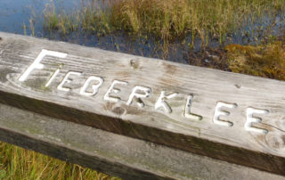 Schild mit Aufschrift "Fieberklee"