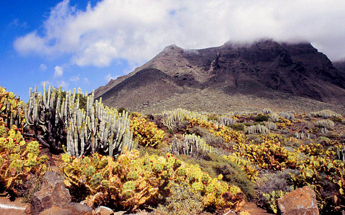 Teneriffa Punta de Teno