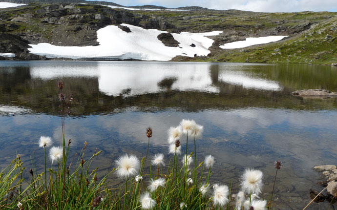 Eis am See in Norwegen