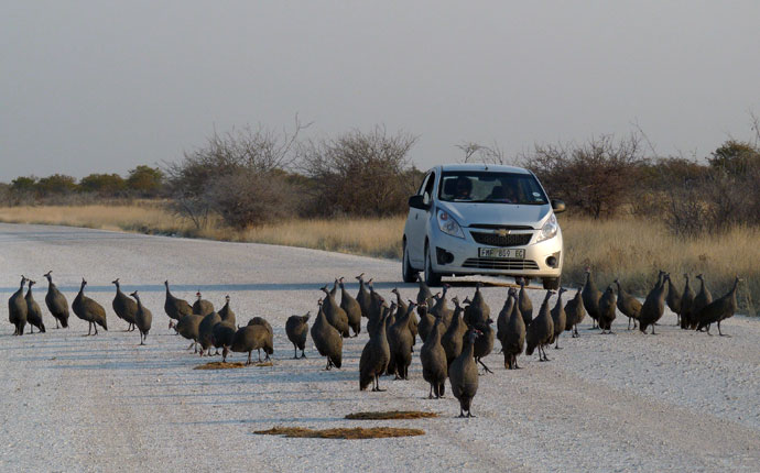 Südafrika Roadtrip