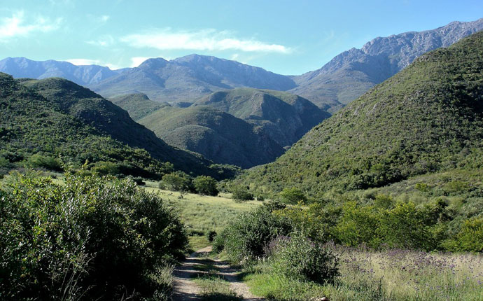 Gronfontein Südafrika