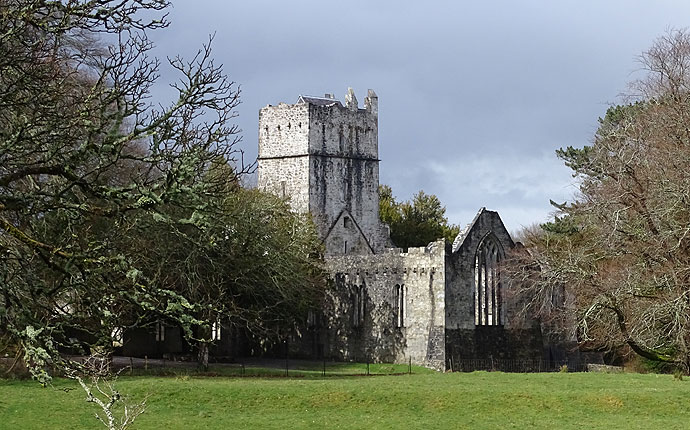 Muckross Abbey in Killarney Nationalpark