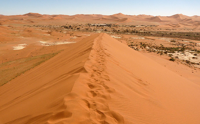 Auf der Düne am Sossusvlei