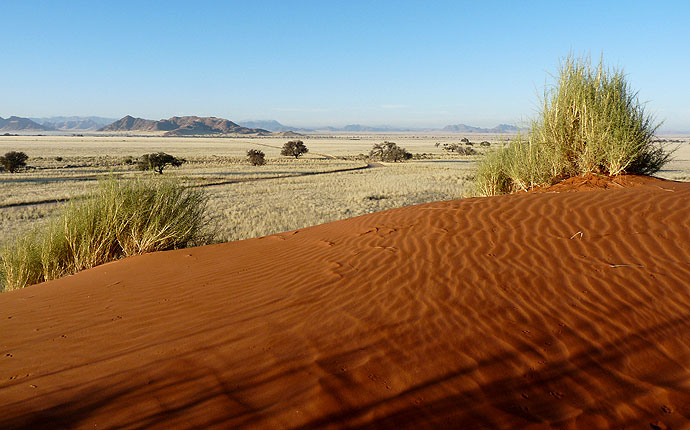 Die Elim-Düne im Sossusvlei