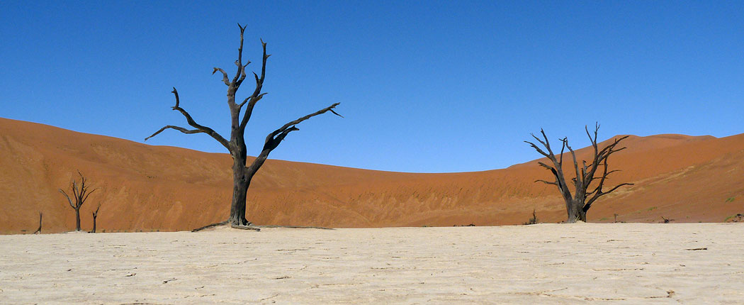 sossusvlei-pfanne Abgestorbene Bäume in der Salzpfanne am Sossusvlei