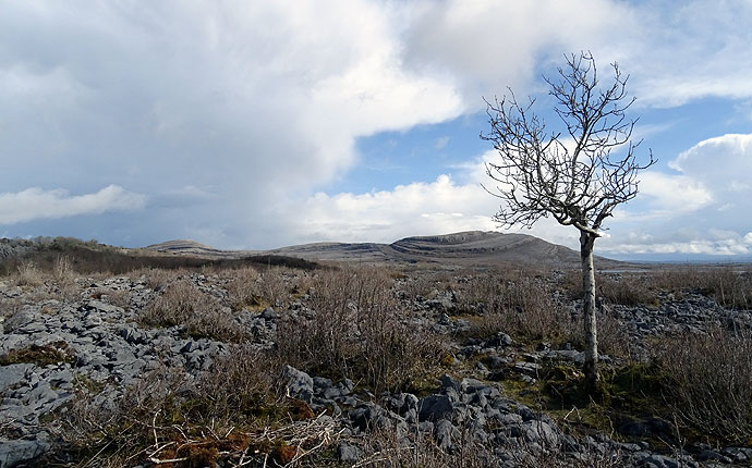 Wanderung durch den Burren Nationalpark