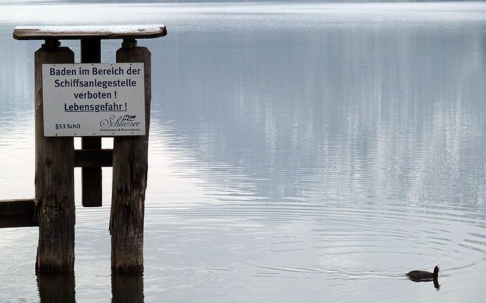 Ente vor Schild "Baden verboten"