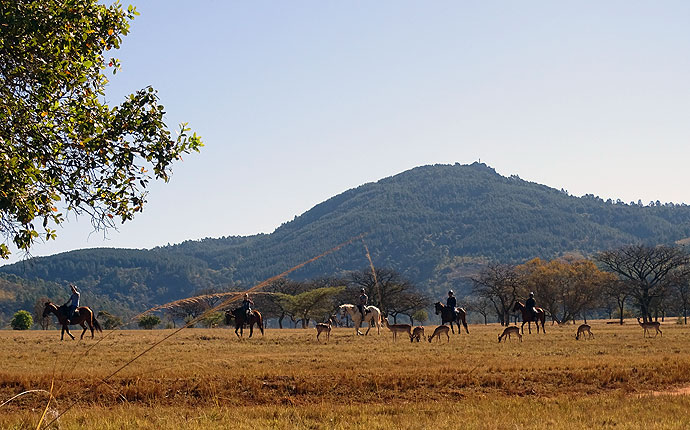 Reiten im Mlilwane Wildlife Sanctuary 