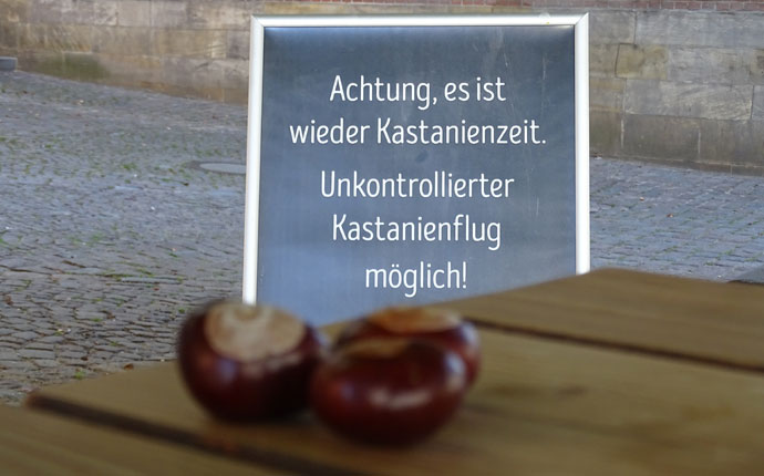 Kastanien vor Schild "Unkontrolliertere Kastanienflug"