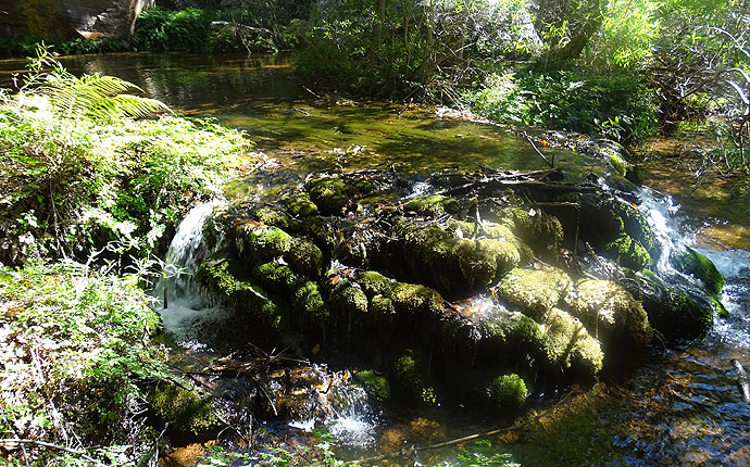 Wanderung am Fluss im Forever Resort am Blyde River Canyon