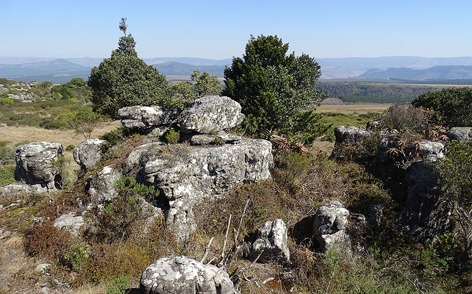 Wanderung bei Gods Window an der Panorama Route