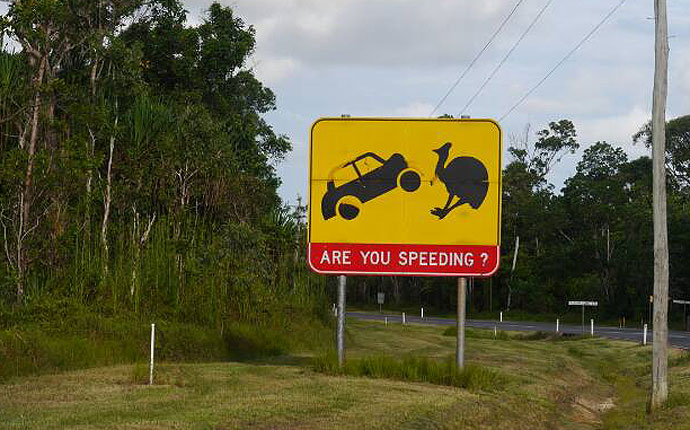 Schild mit Auto und Emu