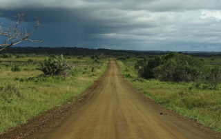 Staubpiste im iSimangaliso Wetland Park bei St. Lucia