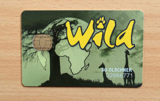 Wildcard für Südafrika