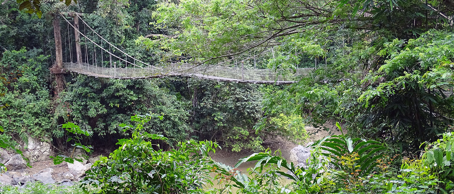 Hängebrücke am Danum Valley Field Centre in Borneo