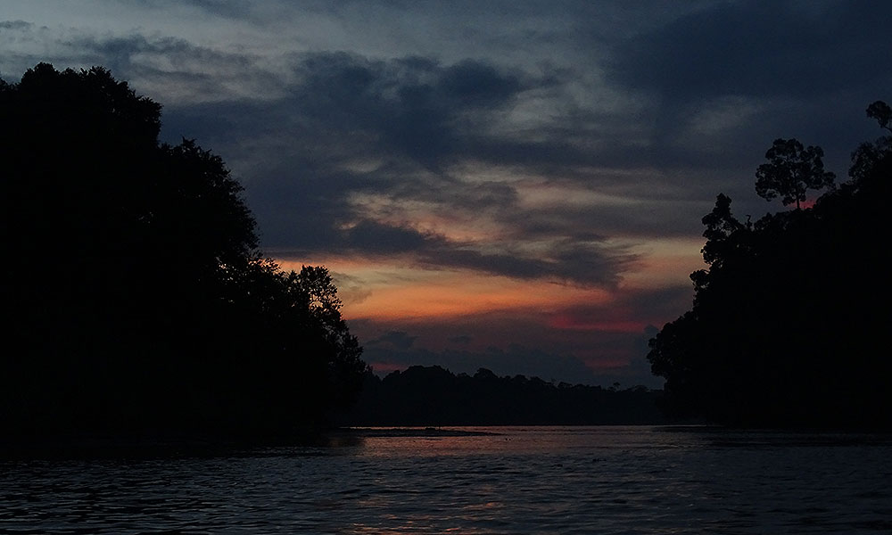Sonnenuntergang über dem Kinabatangan River