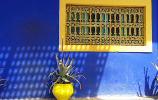 Blaue Wadn mit gelbem Fenster und Blumentöpfen im Jardin Majorelle