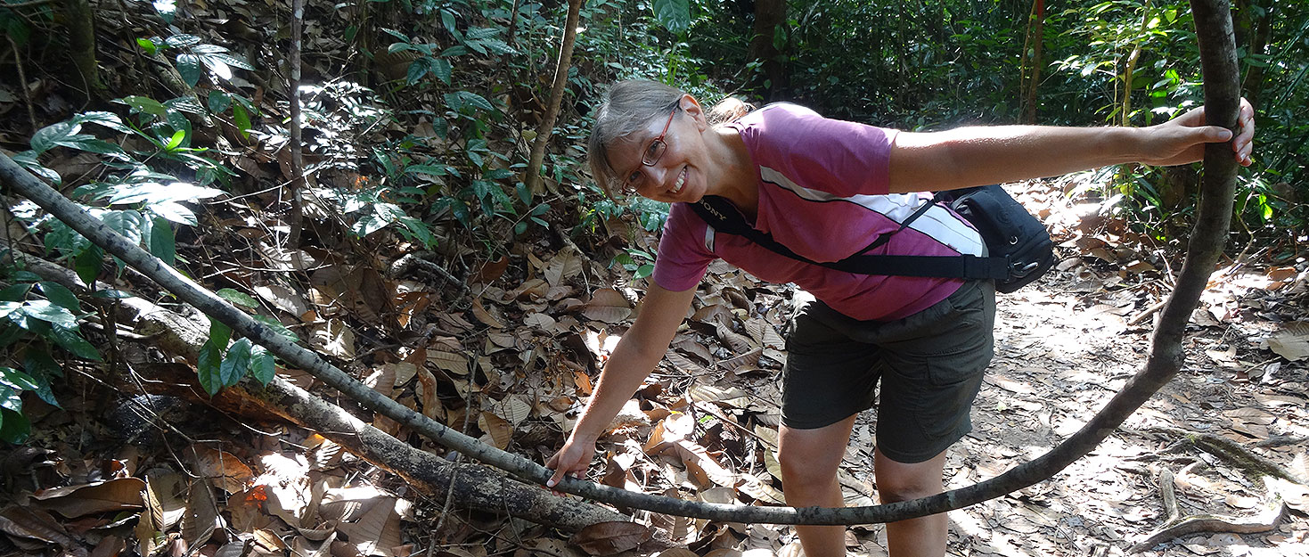 Sabine mit Liane im Dschungel von Bako auf Borneo