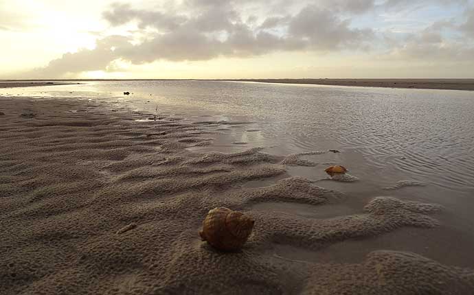 fanoe-strand