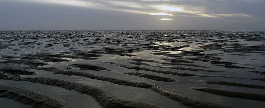 Wattenmeer auf Fanø