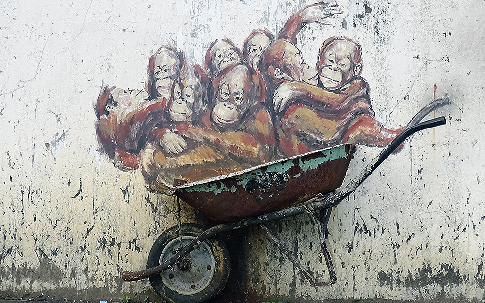 Streetart: Orang-Utans in Schubkarre