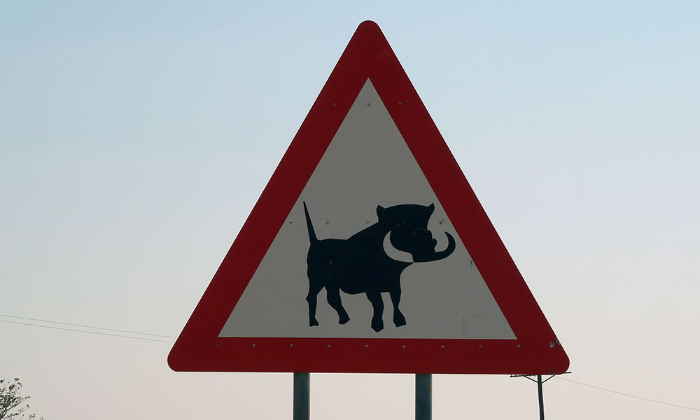 Straßenschild mit Warzenschwein in Namibia