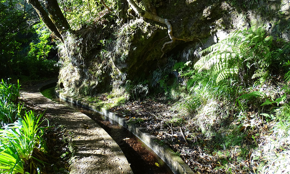 Levada mit Fußweg