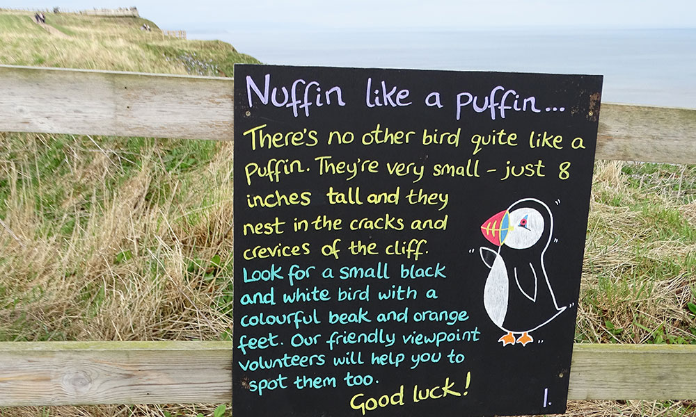 Schild eines Papageitauchers: Nuffin like a puffin