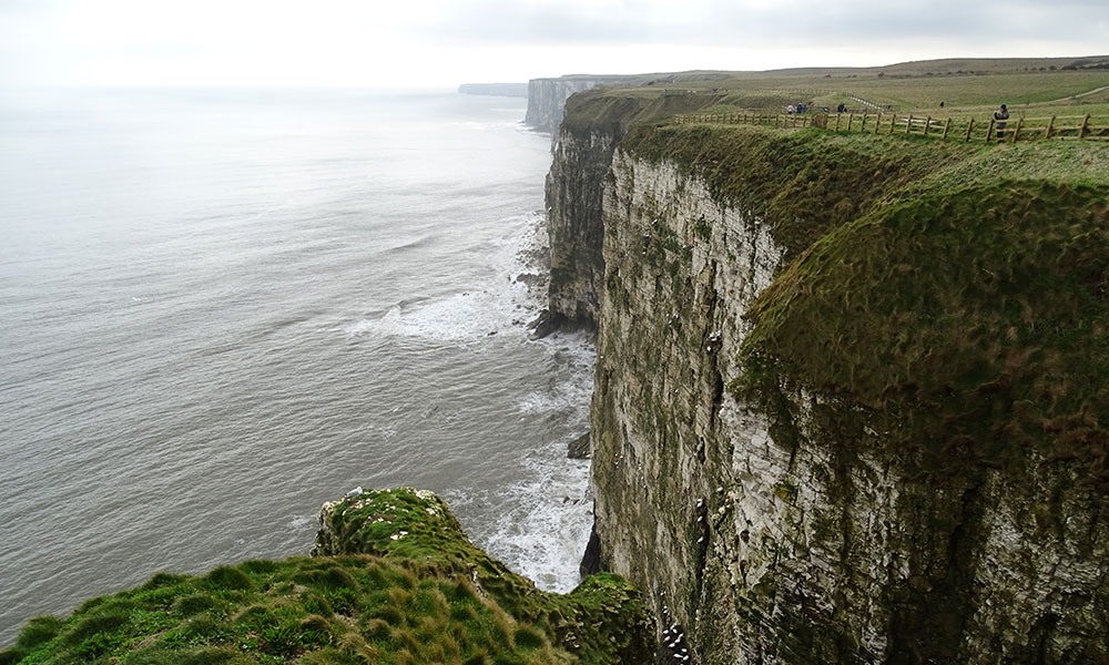 Bempton Cliffs, die Klippen mit Seeblick 