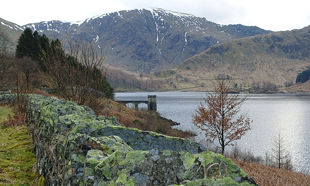 Am Seeufer des Haweswater im Lake District