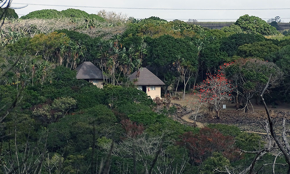 Hütten im Wald am Oribi Gorge
