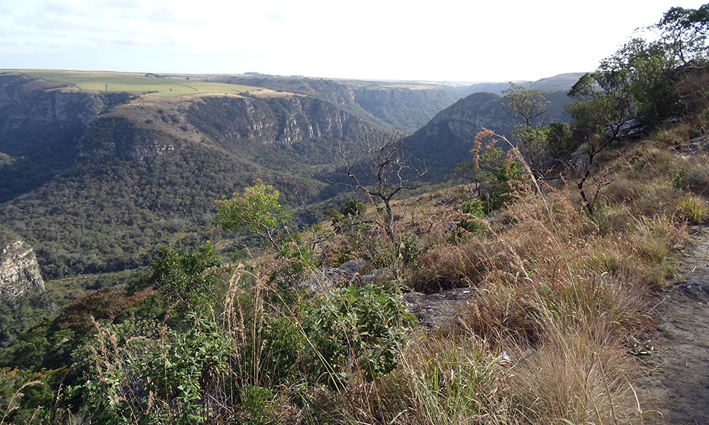 Blick über den Oribi Gorge