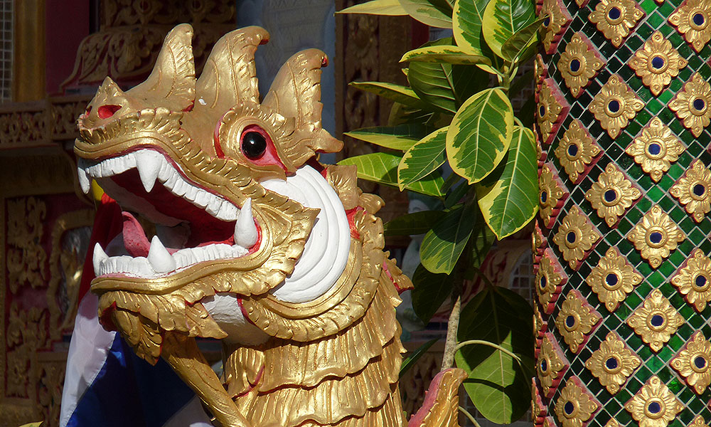 Drache im Tempel