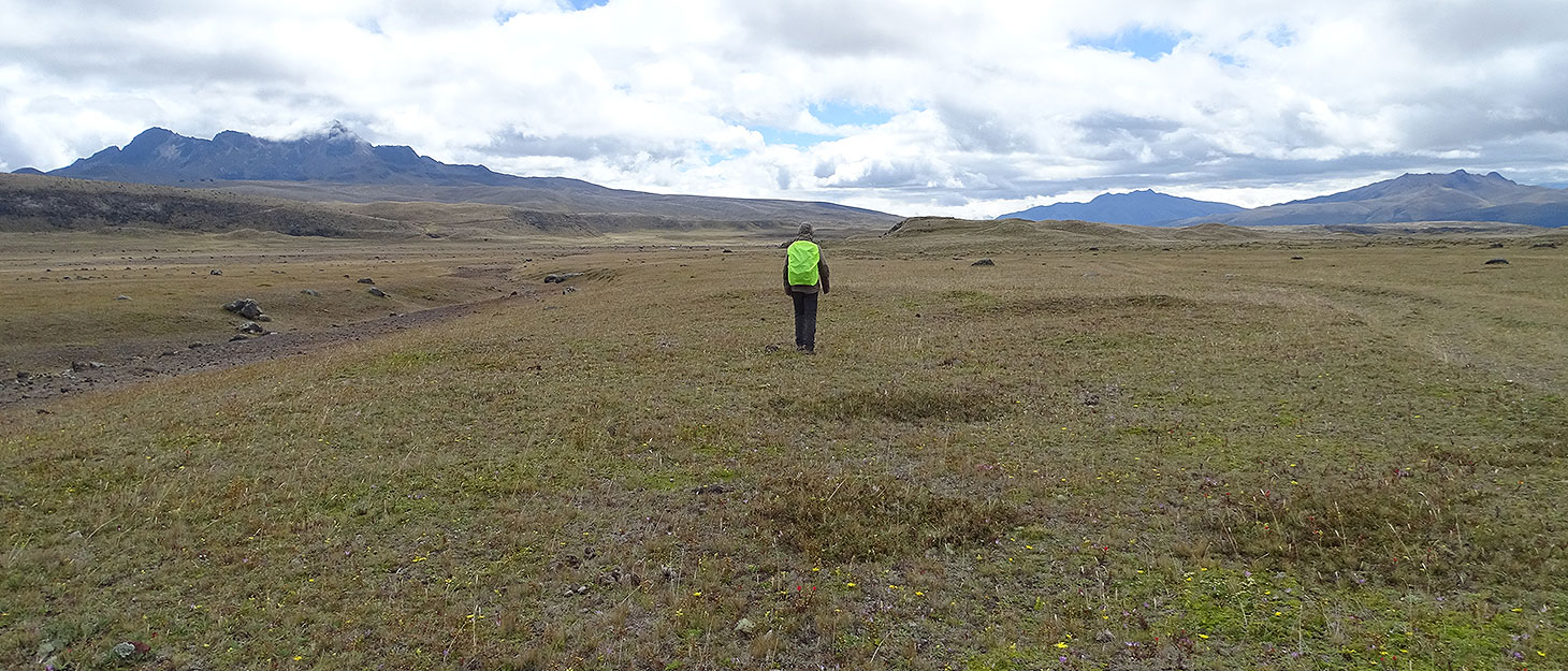 Wandernder Mann in den Bergen, Cotopaxi Nationalpark, Ecuador