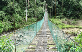 Hängebrücke in Borneo