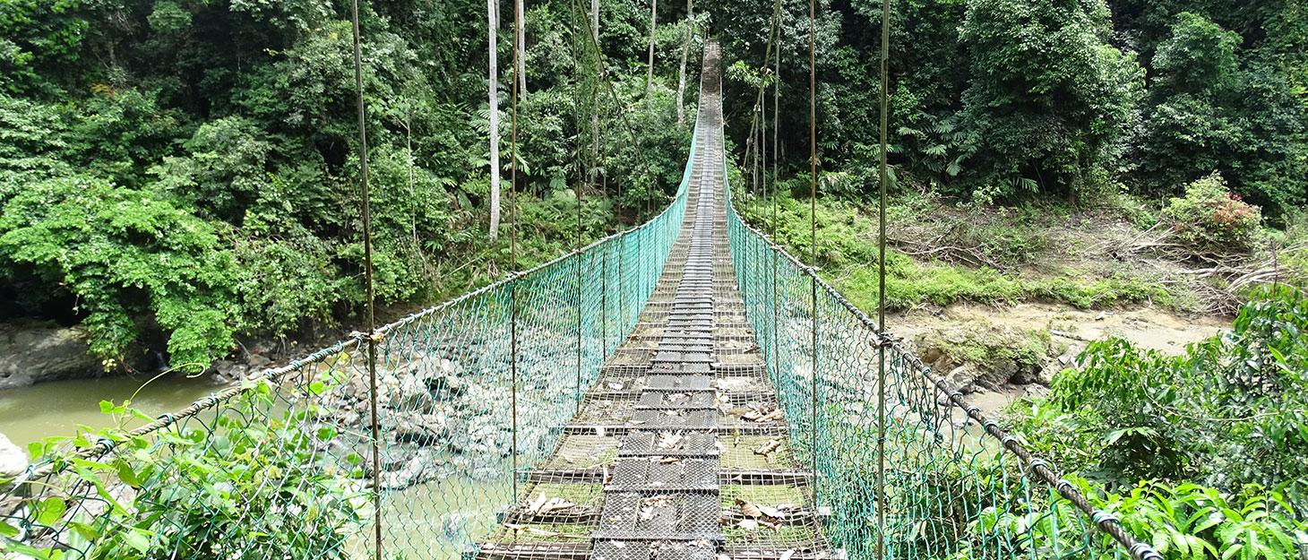 haengebruecke-borneo Hängebrücke in Borneo