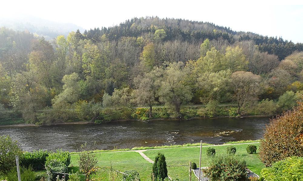 Fluss mit Wald dahinter