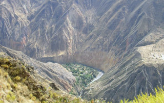 Oase im Colca Canyon