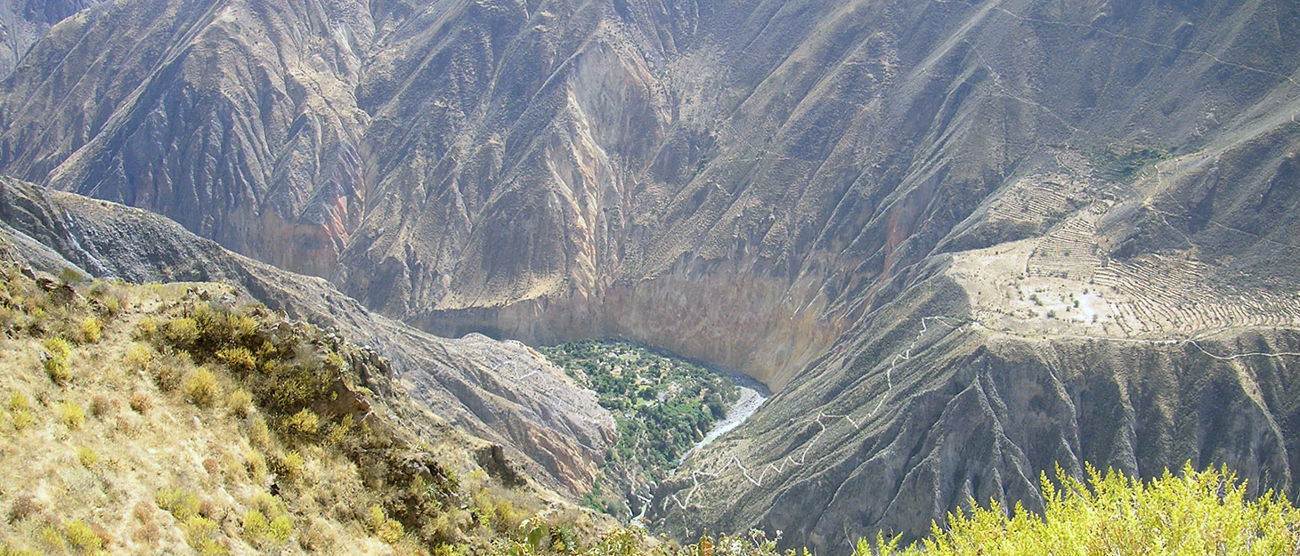 colca-canyon-oasis Oase im Colca Canyon