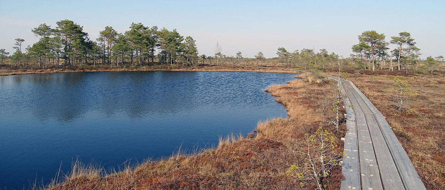 moor-estland Holzbohlenweg am See im Moor von Estland