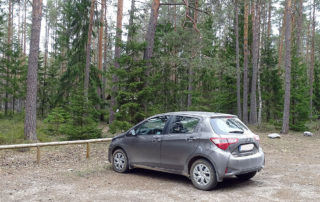 Mietwagen in Estland am Wald