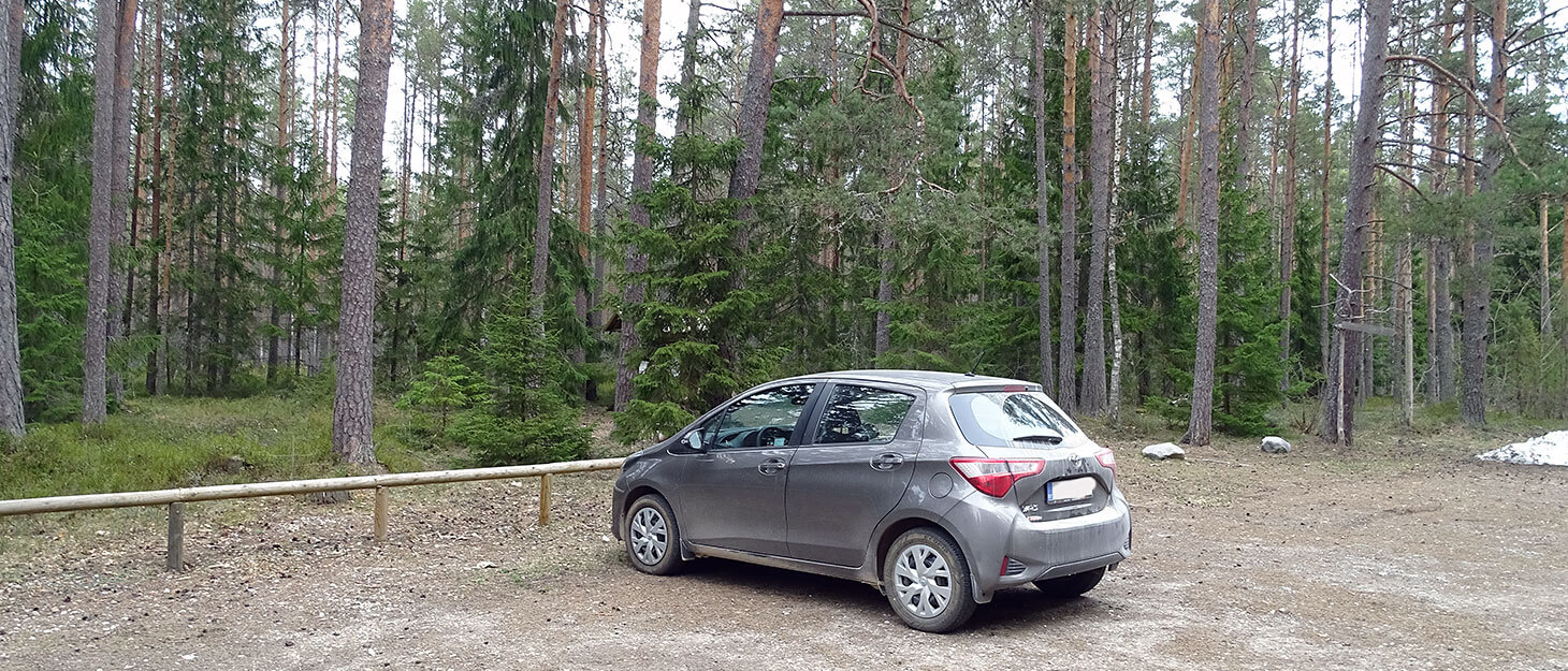 autofahren-estland Mietwagen in Estland am Wald