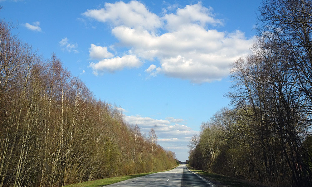Im Wald Autofahren in Estland