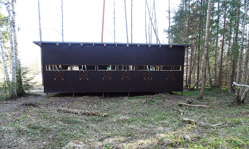 Hütte im Wald zum Bären beobachten