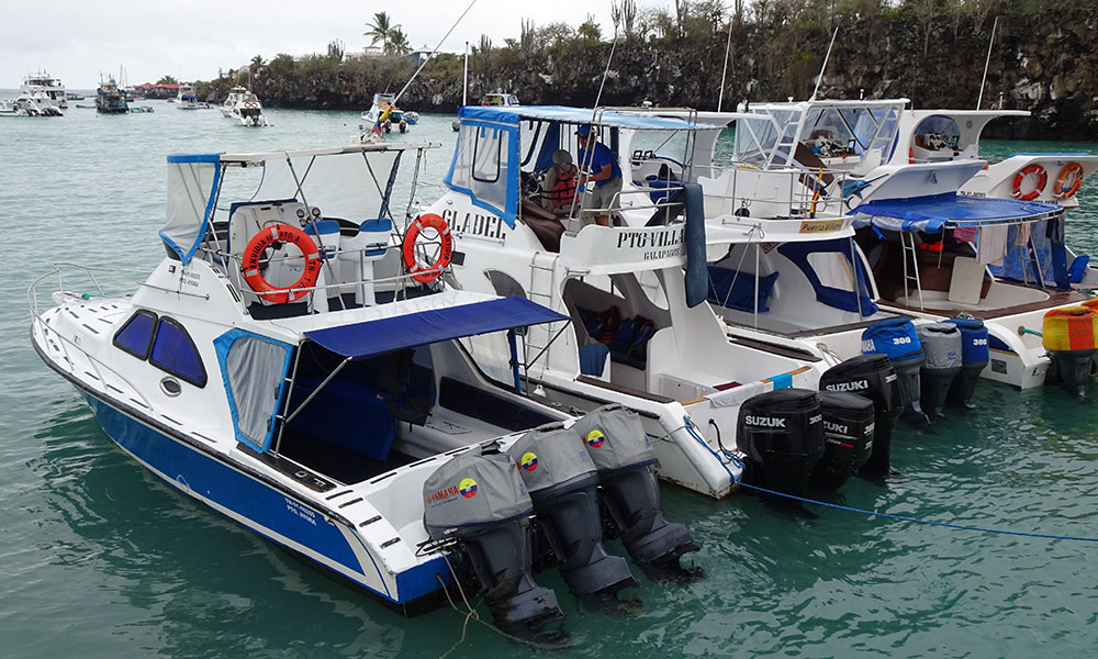 Vier Boote